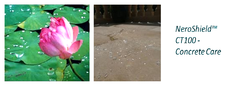 Lotus Effect